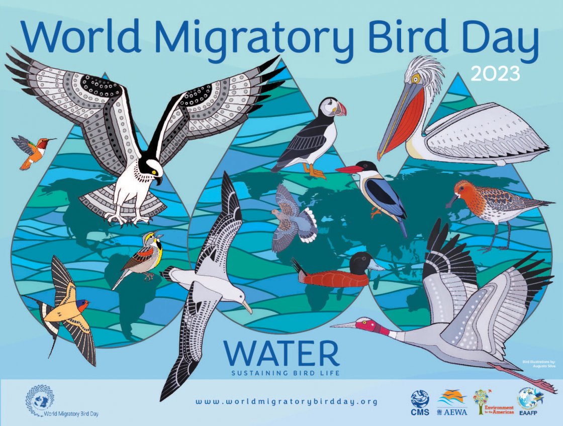 World Migratory Bird Day 2023 Global Campaign Poster Unveiled World   2023 WMBD GLOBAL Poster All Logos Web Rgb 